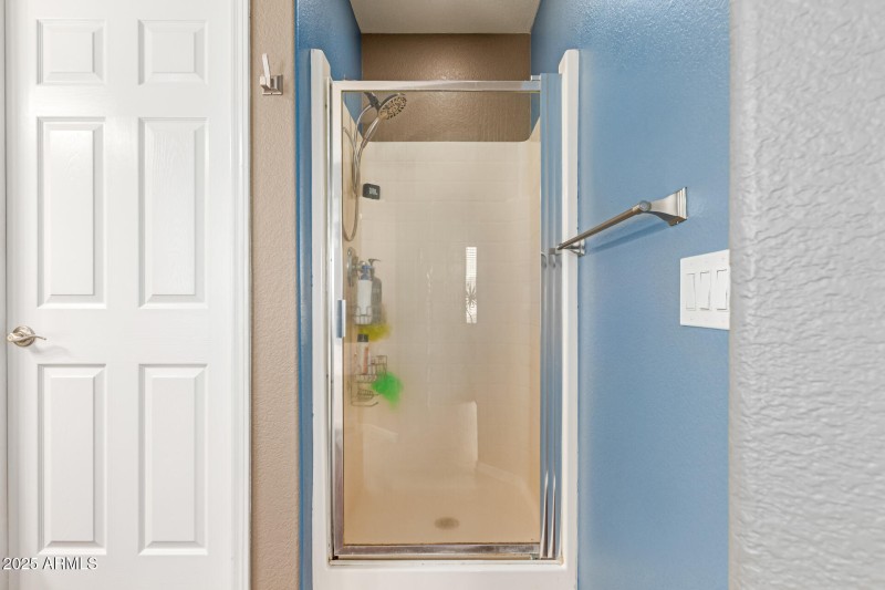 Primary Shower
