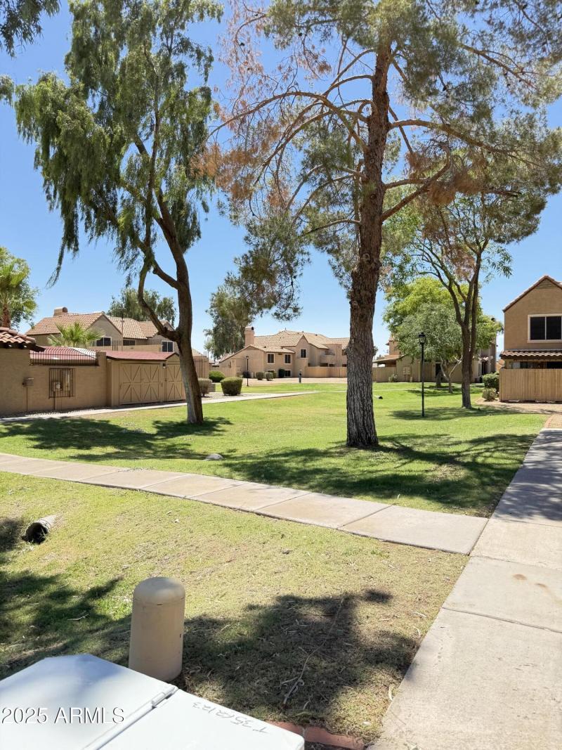 Grassy area