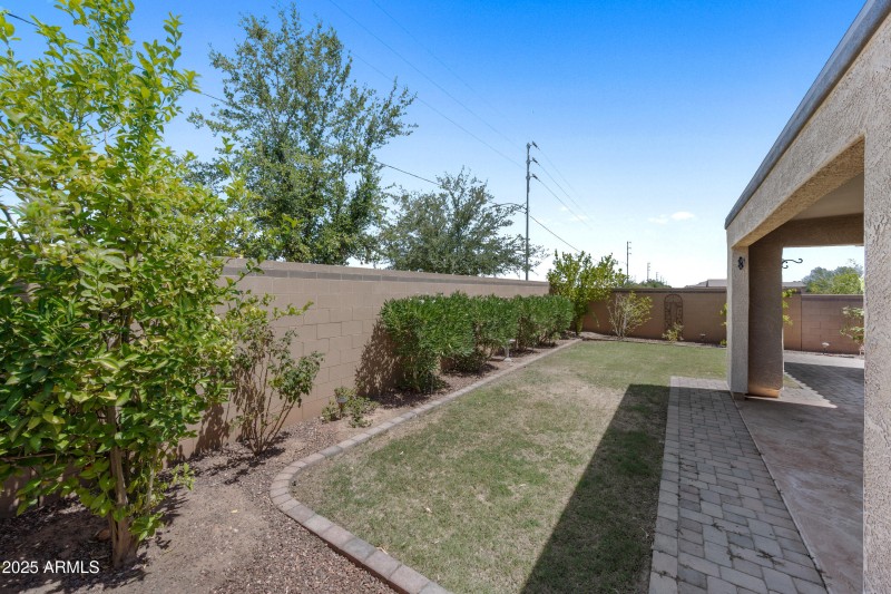 Backyard w/ Fruit Tree