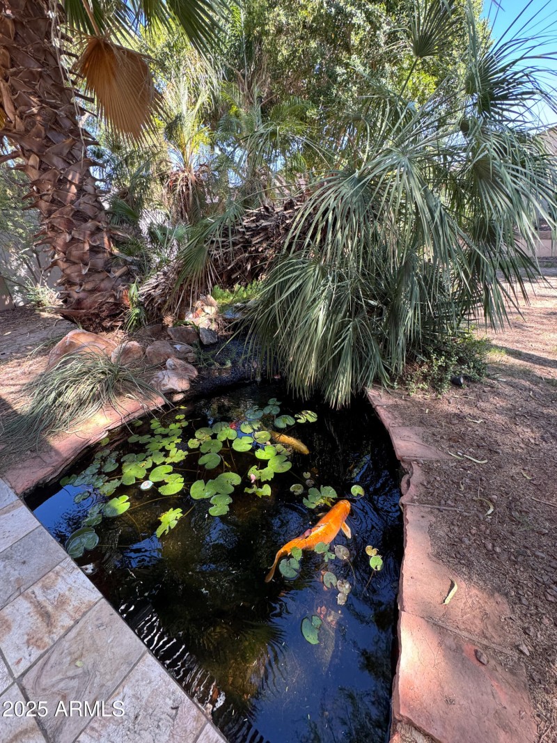 Full Pond