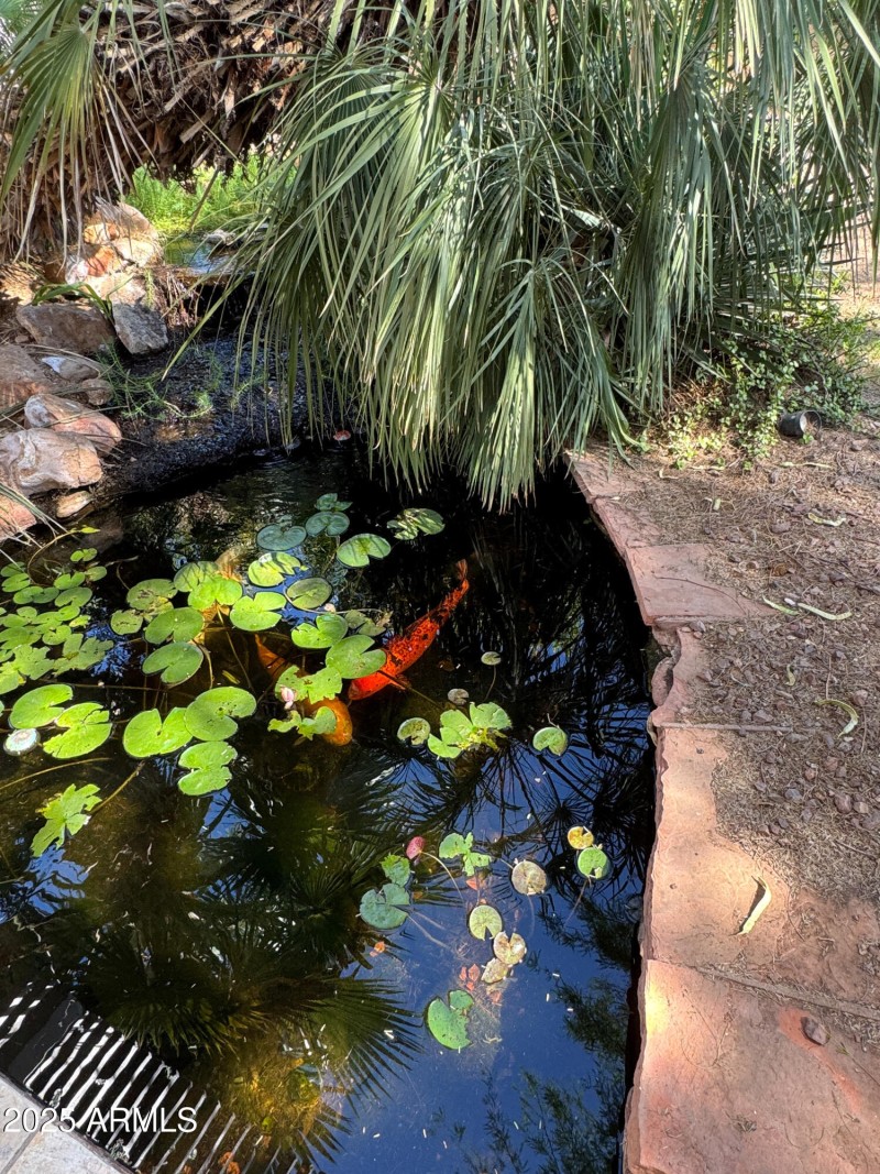 Koi Pond