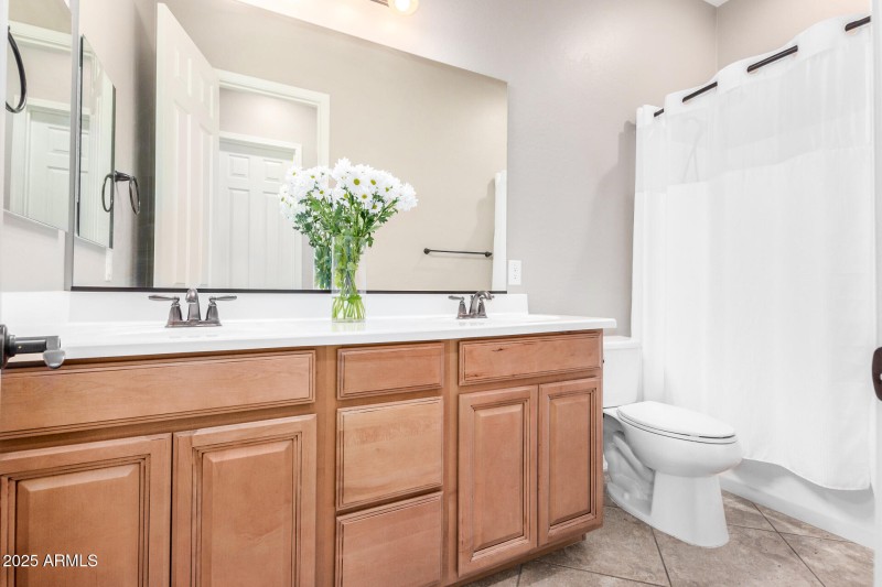 Hall Bathroom