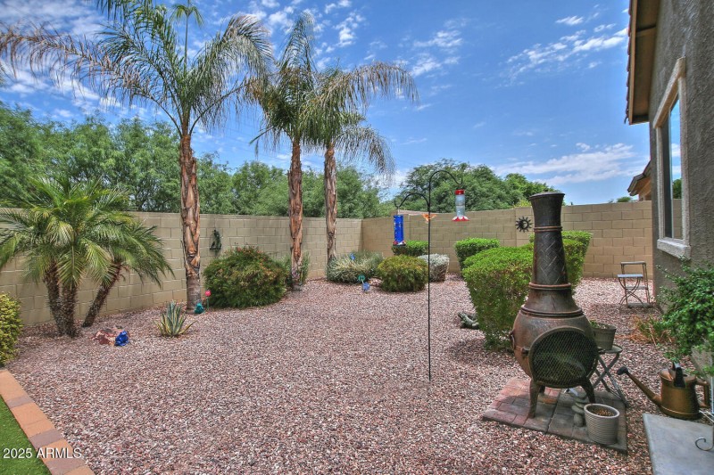 924 Dumbarton Back Yard