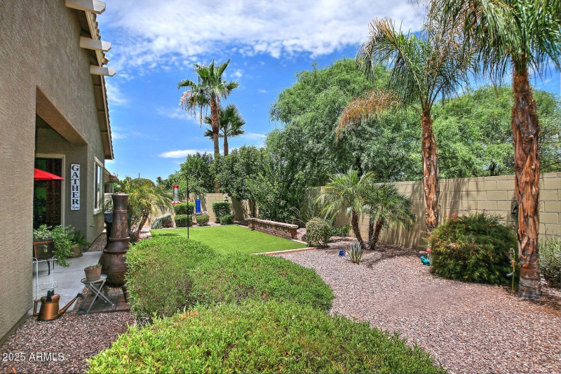 924 Dumbarton Back Yard 2