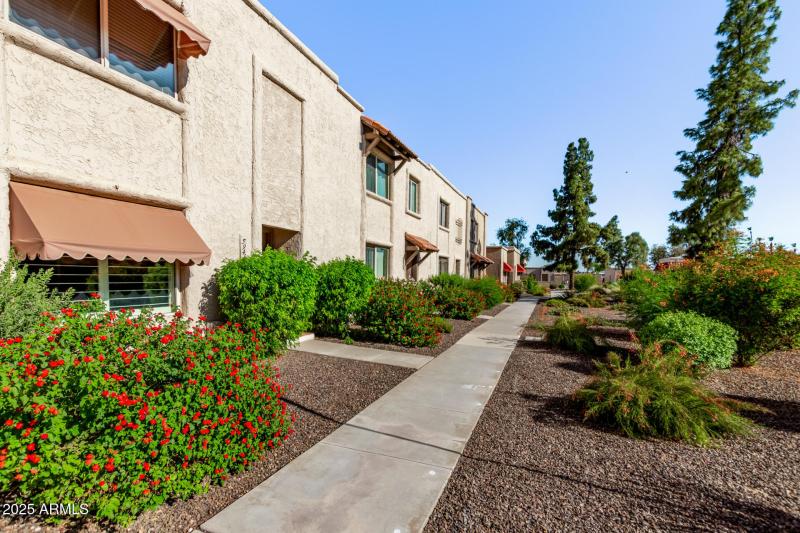 Community Walking Path