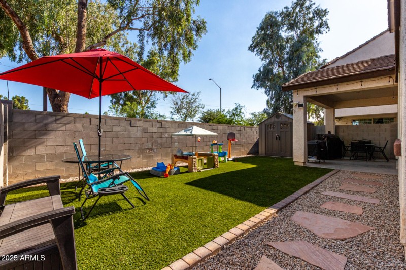 Backyard