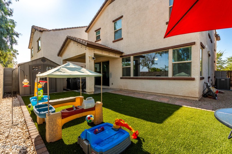 Backyard 1