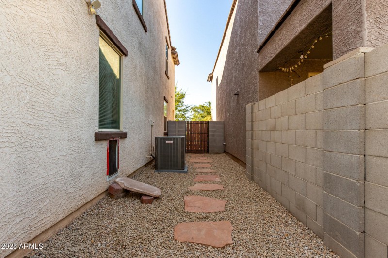 Side gate and Dog door