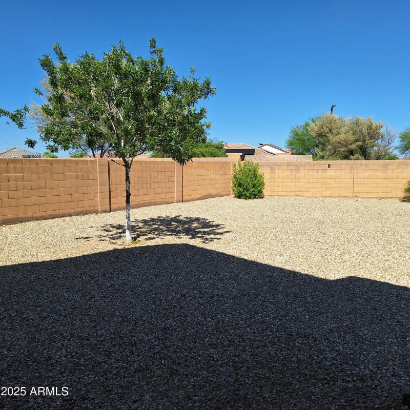 View of yard from the house