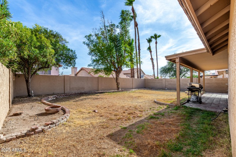 Backyard 2