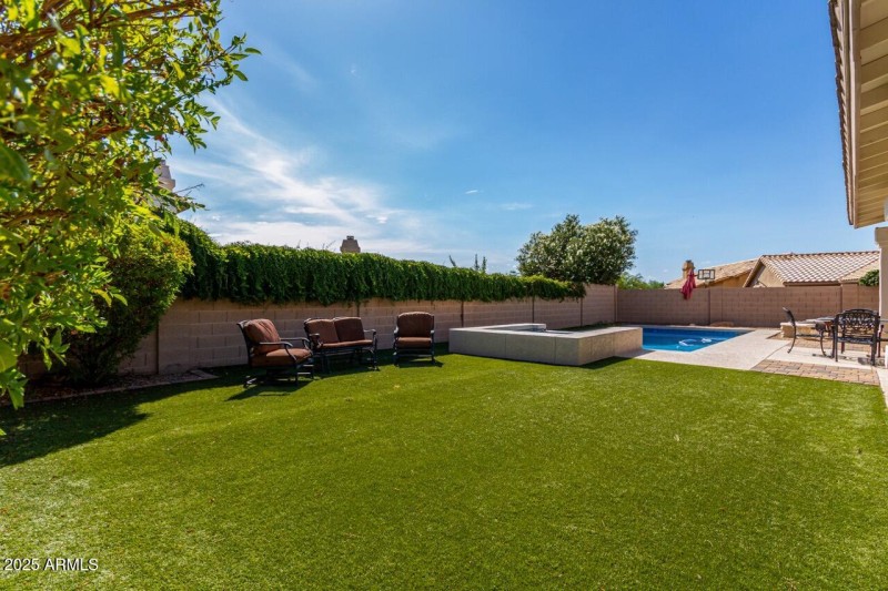 Backyard Large