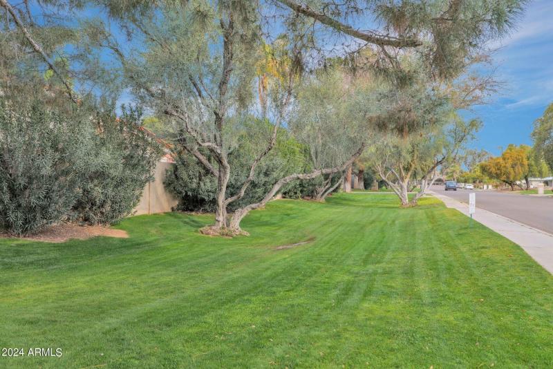 43-web-or-mls-P1015305