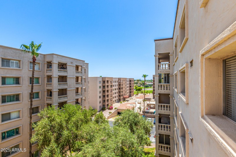 28 - Camelback