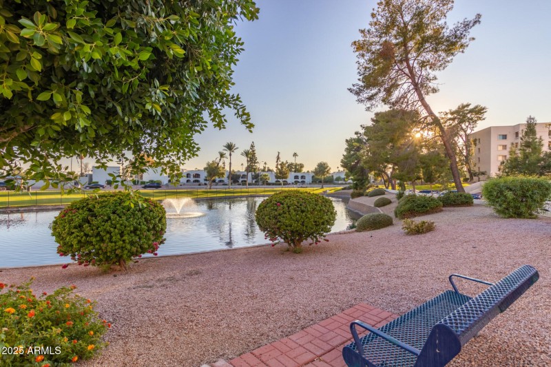 33 - Camelback