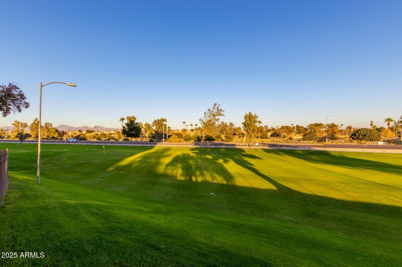 34 - Camelback
