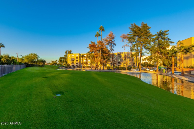 37 - Camelback