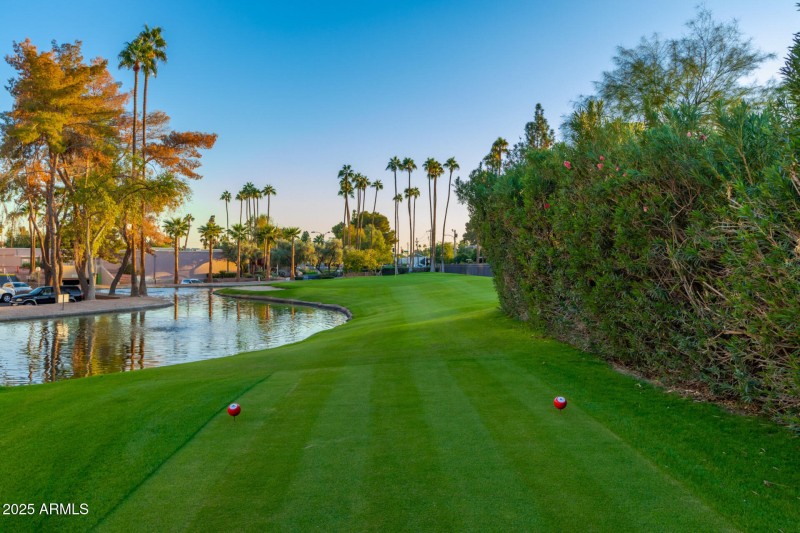 39 - Camelback