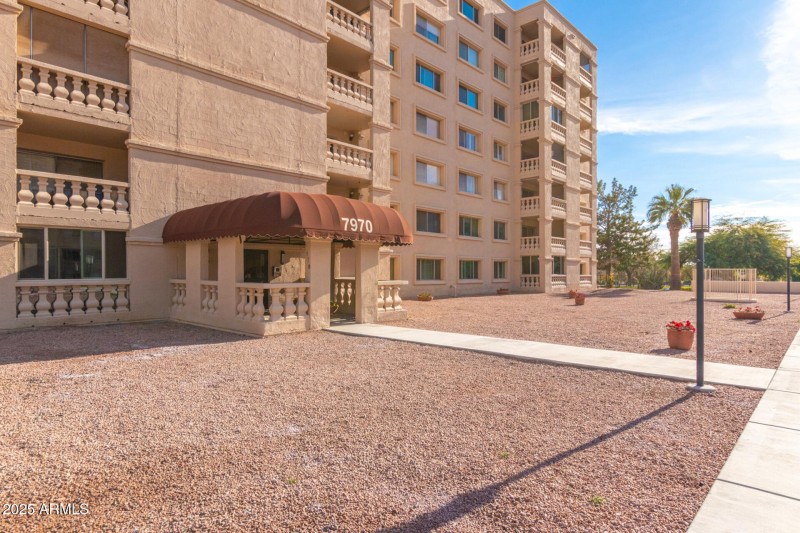 41 - Camelback
