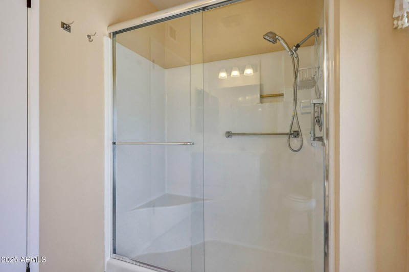 Primary Shower