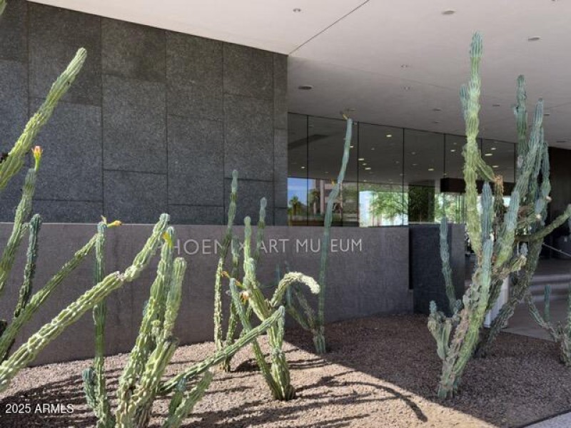Phx Art Museum Medium