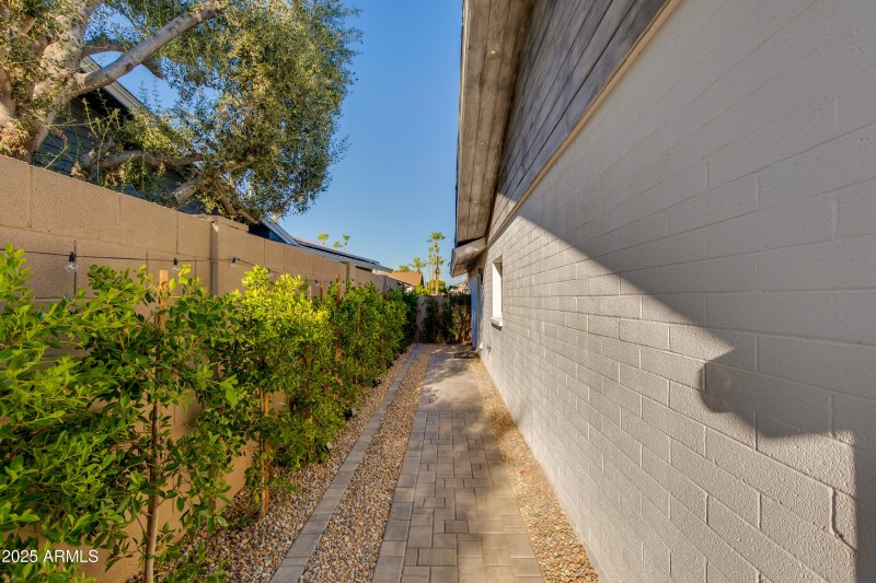 SIDE YARD