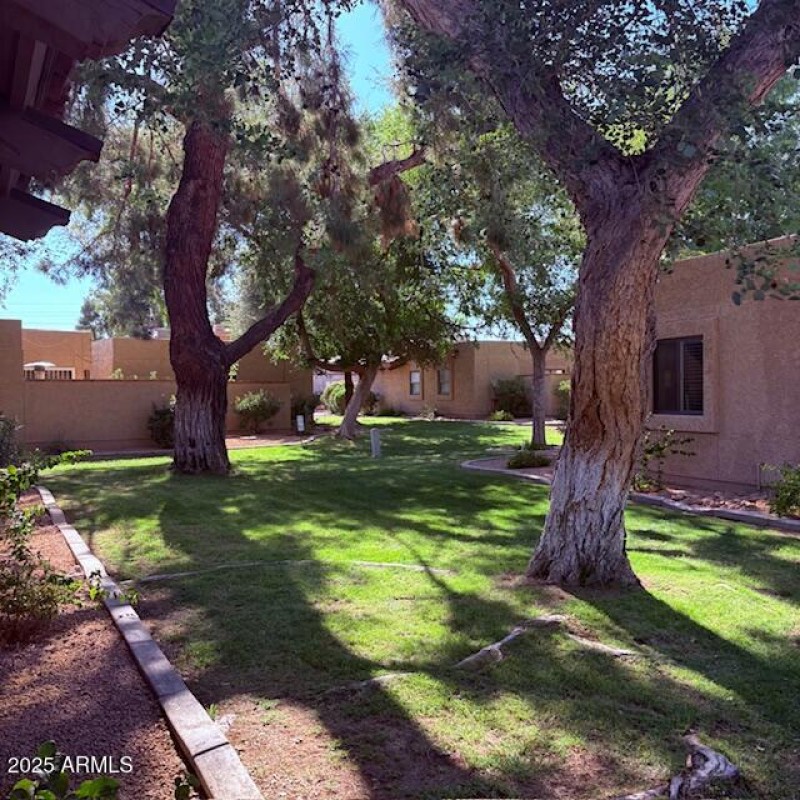 Mature Trees/Green Spaces