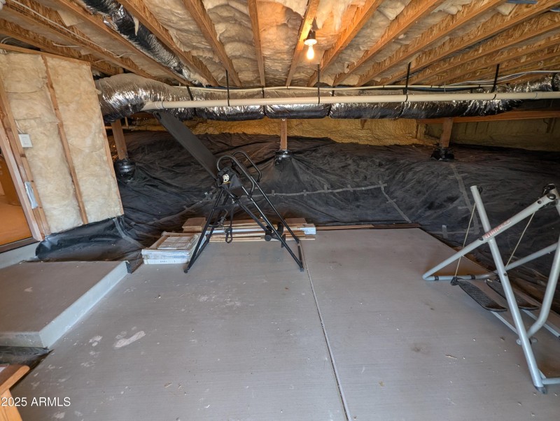 PXL_20250626_164925405