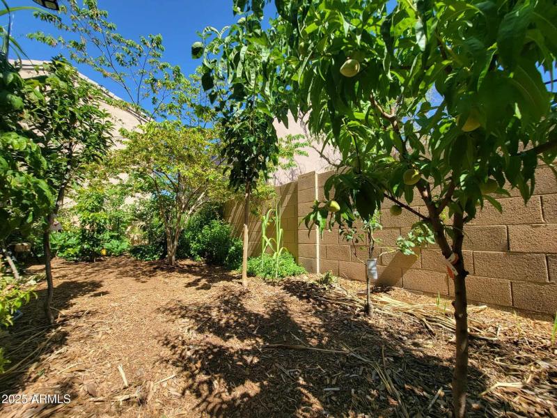 515159890_738929495263824_47227590688813