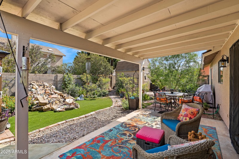 3 Backyard-2