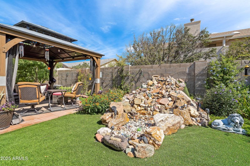 3 Backyard-3