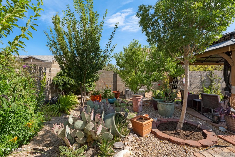 3 Backyard-4