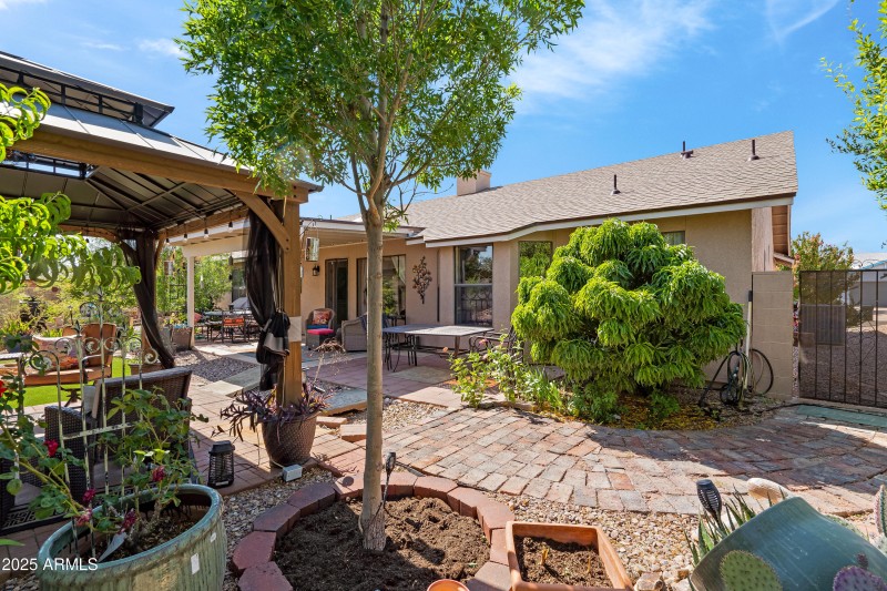 3 Backyard-5