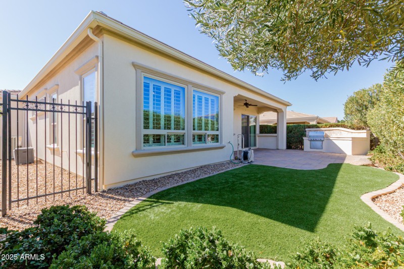Artificial Turf