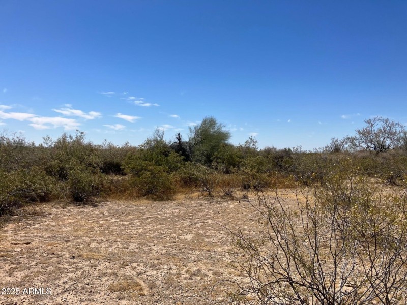 7.lot 4 wooded lot