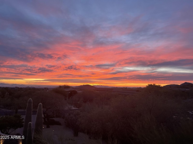 Vibrant Skies