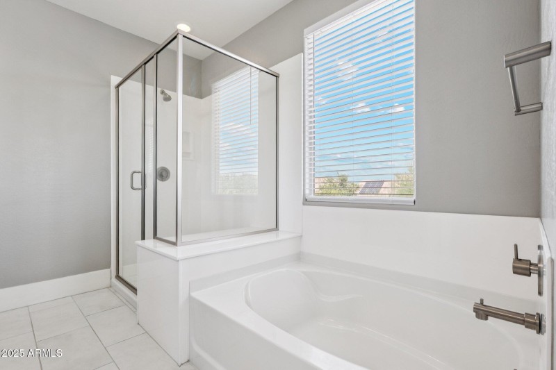 Separate Tub/Shower in Master bath