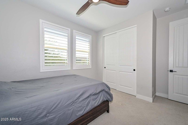 Dual Window Natural Light