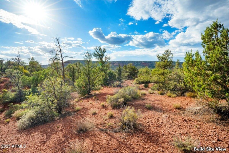 3-Build Site View