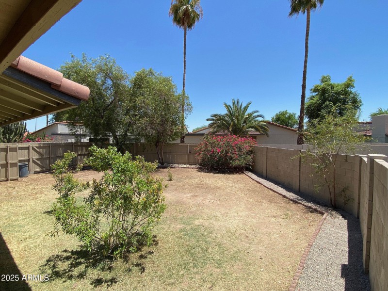 Backyard S