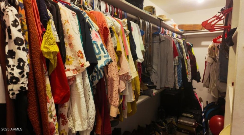 Primary Closet