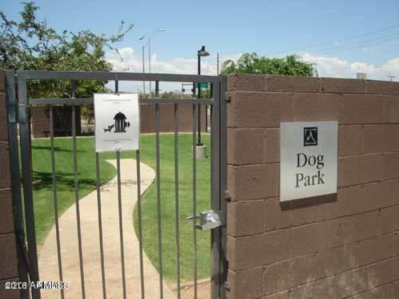 DOG PARK