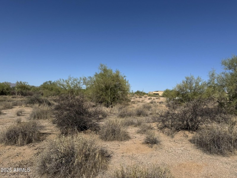 Spacious Lot