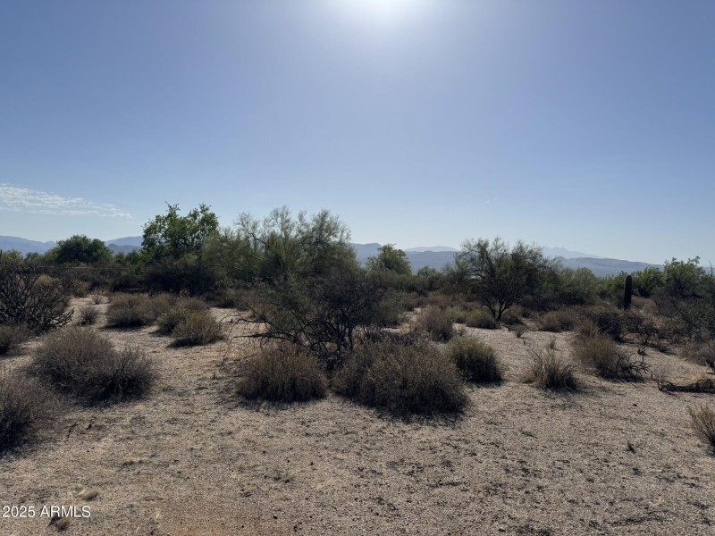 Spacious Lot