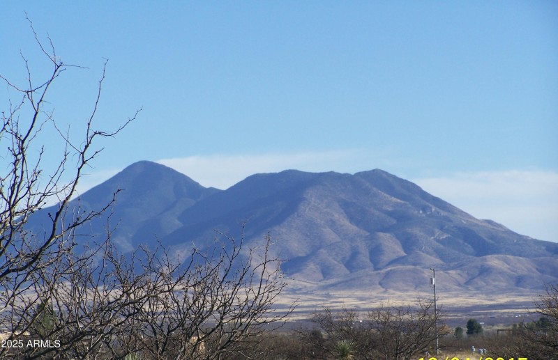 Cactus Ranch 3