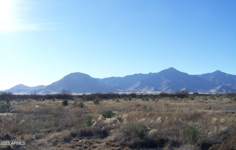 Cactus Ranch 4