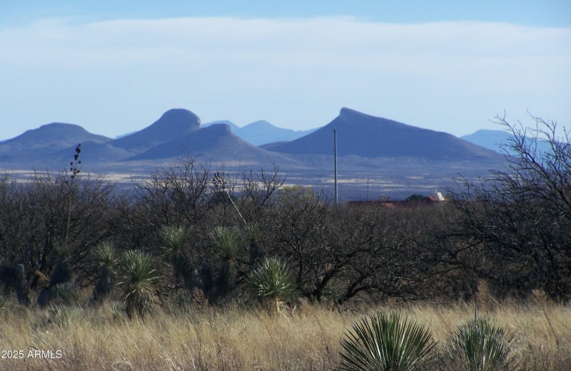 Cactus Ranch 5