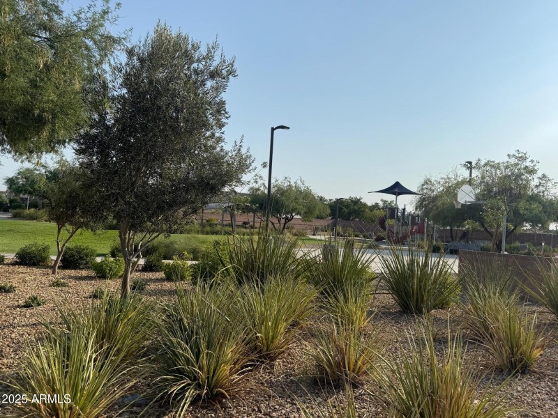 park
