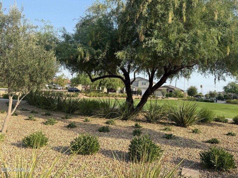 park