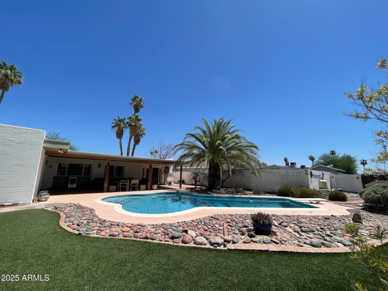 A Fun Backyard
