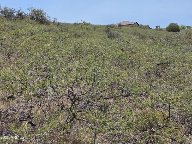 gently sloping lot
